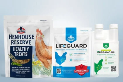 Kalmbach Chicken Feed